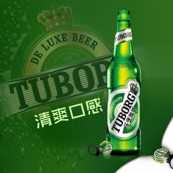 啤酒 乐堡啤酒 嘉士伯乐堡（TUBORG）拉环盖小瓶装啤酒330ml 24瓶